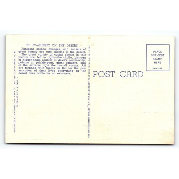 Vintage Sunset on the Desert Cactus Scene Linen Postcard by J.R. Willis - Picture 2 of 2